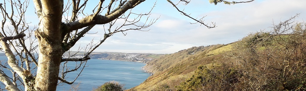 Coastal path from Struddicks to Looe