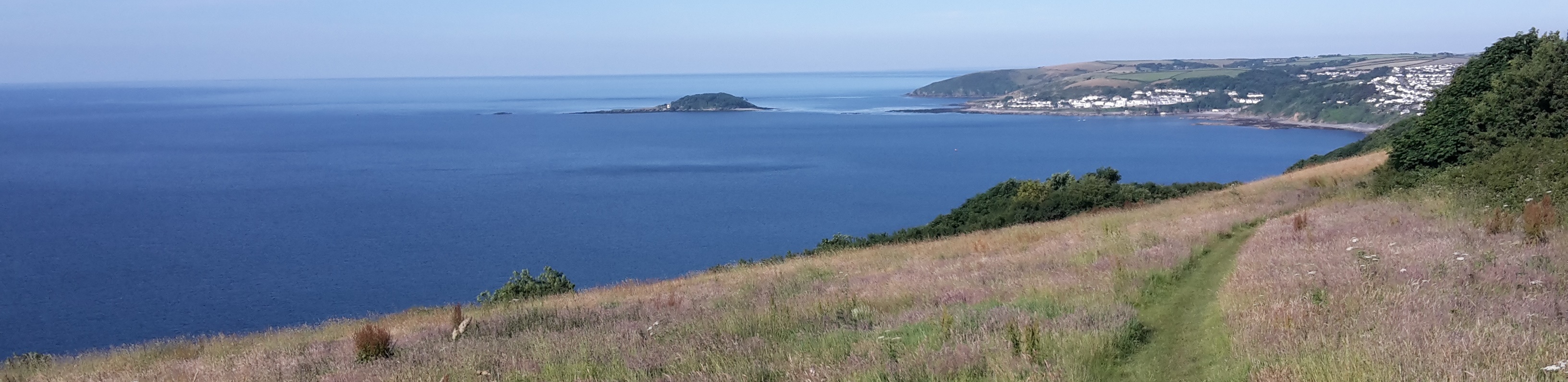Looe Island from Coastal Path